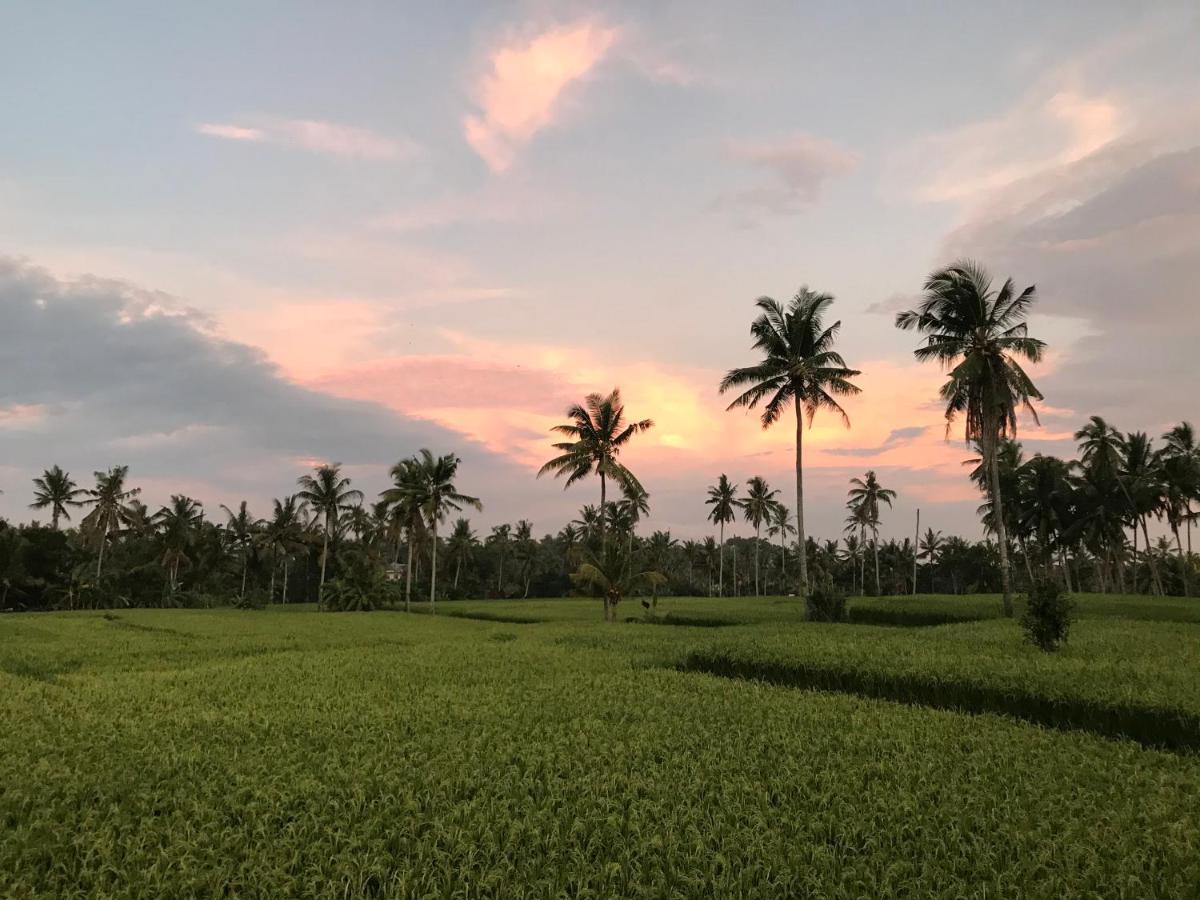 Sunset Pandawa Villa Ubud Exterior foto